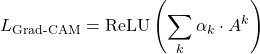 \[L_{\text{Grad-CAM}} = \text{ReLU}\left(\sum_k \alpha_k \cdot A^k\right)\]