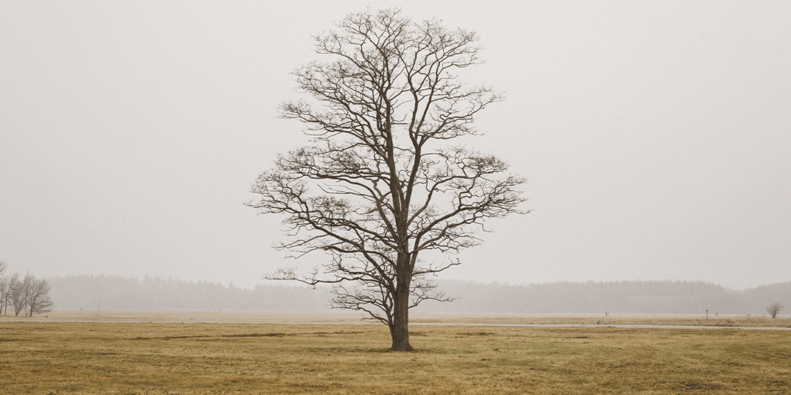 Entendendo as árvores de decisão em Machine Learning