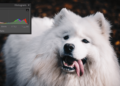 Como equalizar histograma de imagens com OpenCV e Python