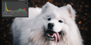 Como equalizar histograma de imagens com OpenCV e Python