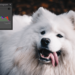 Como equalizar histograma de imagens com OpenCV e Python