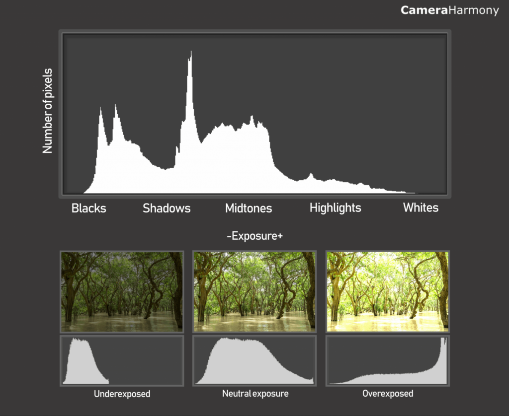 A histogram is a graphical representation of how pixel intensity values are distributed in your image.