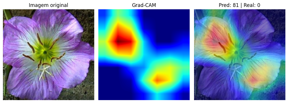 Grad-CAM em predição incorreta: a rede foca em regiões irrelevantes
