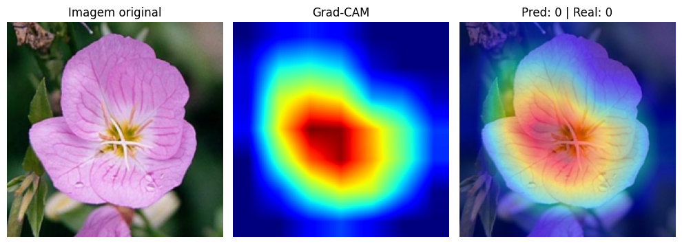 Visualização Grad-CAM sobre imagem de teste