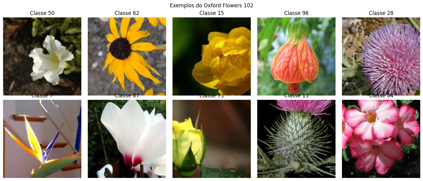 Examples from the Oxford Flowers 102 dataset
