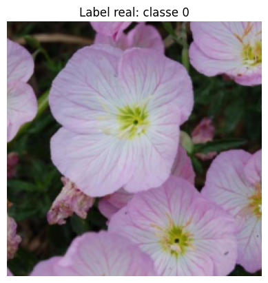 Pre-trained ResNet18 predictions on ImageNet for a flower image