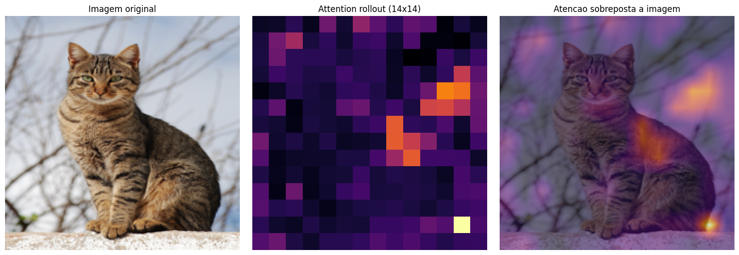 Mapa de atenção do ViT sobreposto à imagem original