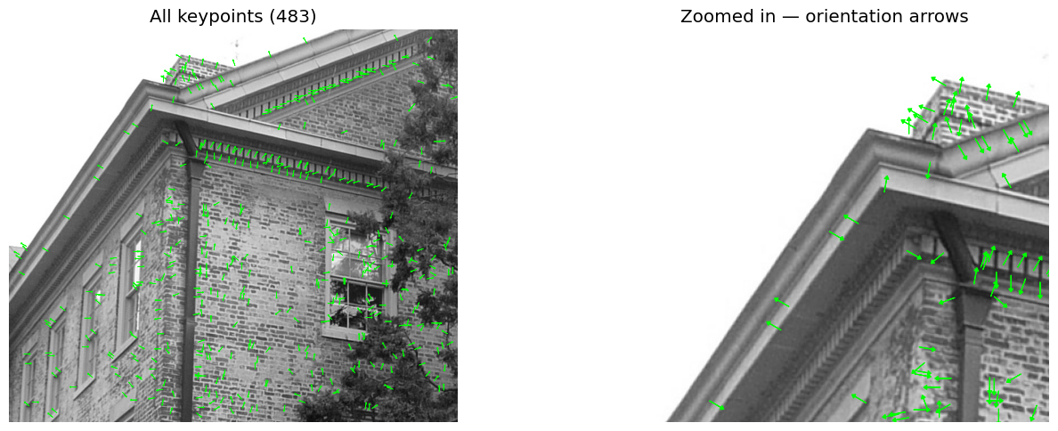 Keypoints com setas indicando a orientação dominante do gradiente